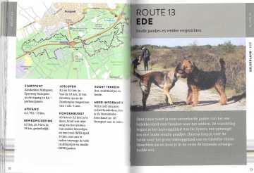 3 anwb wandelen met de hond scaled