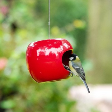 343480119 applefeeder redqm 5358