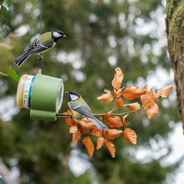 350070119 riopeanutbutterfeeder jvg 2905