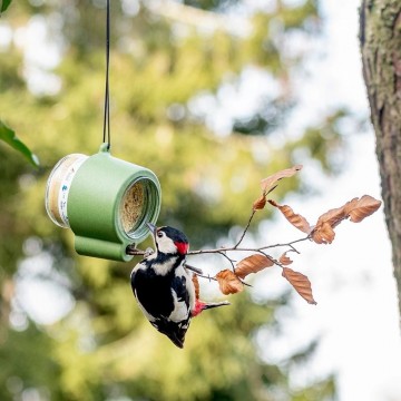 350070119 riopeanutbutterfeeder jvg 3086
