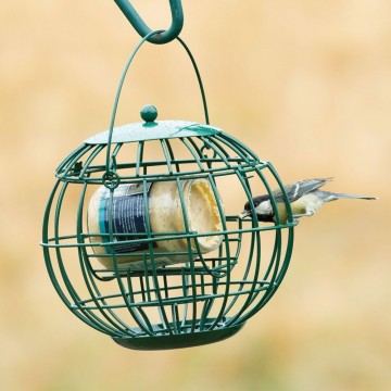 361570 pindakaaspothouder london