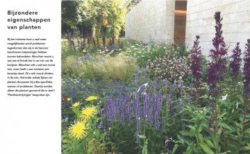 415e21a260607c7ad0e1687cfe0831554ed8d36e