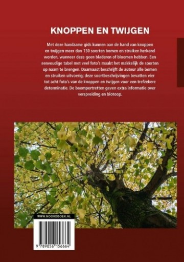 9789056156664 375 0 1