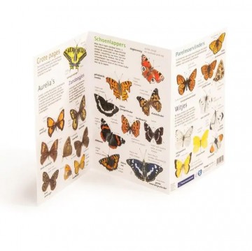 98755 nm kijkkaart vlinder 03