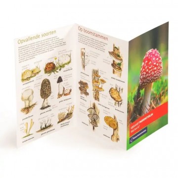 98758 nm kijkkaart paddestoelen 02
