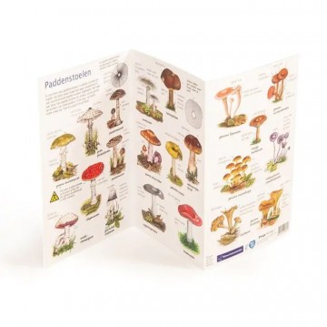 98758 nm kijkkaart paddestoelen 03