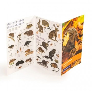 98759 nm kijkkaart zoogdieren 02 1