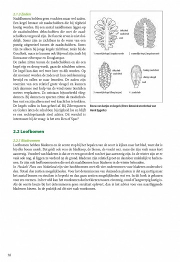Basisgidsbomenenstruiken2