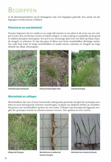 Basisgidsgrassen9