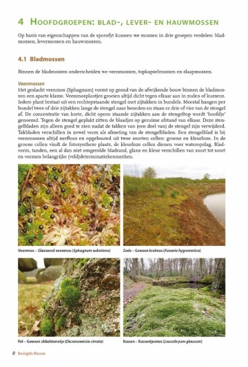 Basisgidsmossen9