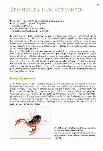 Basisgidsspinnen3
