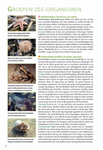 Basisgidsstrandvondsten3