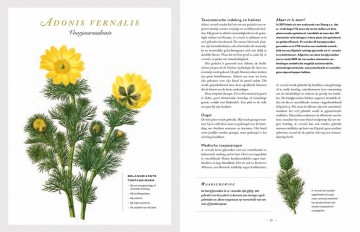 Botanicummedicinale11