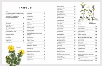 Botanicummedicinale2