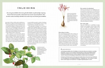 Botanicummedicinale3