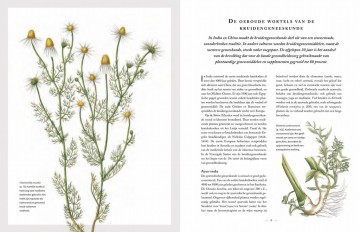 Botanicummedicinale4