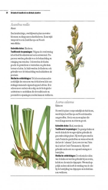 Botanischhandboekmedicinaleplanten8