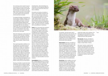 Bunzinghermelijnenwezel4