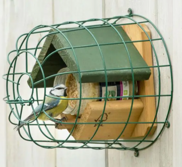 Dublin beschermkap 1