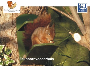 Premium eekhoornvoedermix