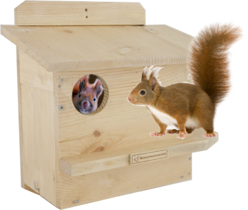 Eekhoorn woonhuis met eekhoorns 0