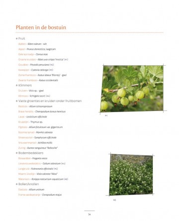 Een kleine eetbare tuin d