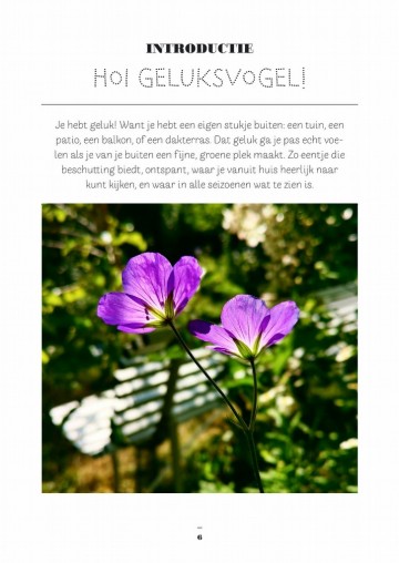 Gelukzitineengroenhoekje 5