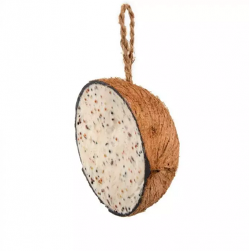 Halve kokosnoot 2