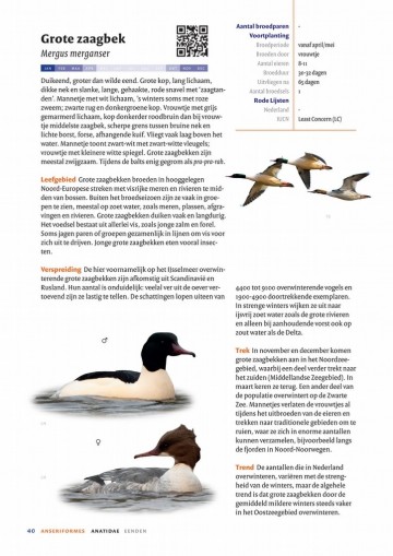 Handboekvogelsvannederland2