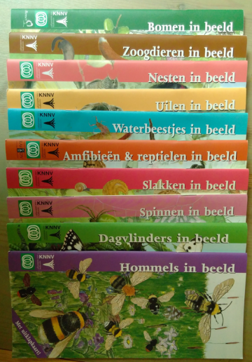 In beeld boekjes 18082017 3