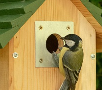 Invliegplaatje 32 mm 3