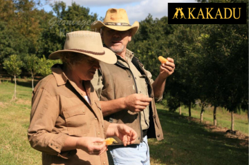 Kakadu bendigo mood 3 1