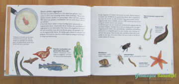 Kijken naar kleine dieren