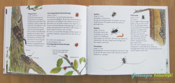 Kijken naar kleine dieren