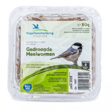 Meelwormen 1