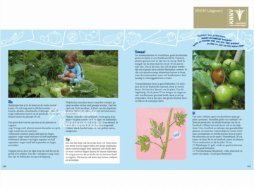 Mijn eerste moestuin