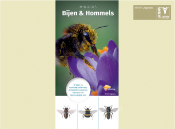 Minigids bijen en hommels 1