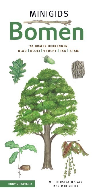 Minigidsbomen setvan3