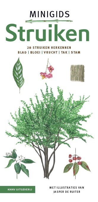 Minigidsstruiken setper3