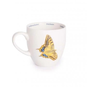 Mok koninginnepage 1