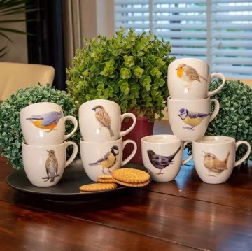 Mokken tuinvogels 1 6