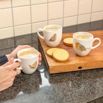 Mokken tuinvogels 3 6