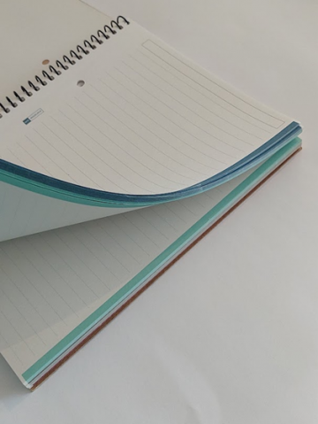 Notitieboek a5 leaves gelinieerd 2 0