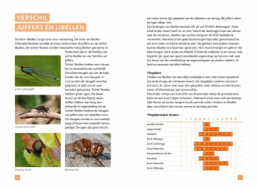 Opzoeknaarvlindersenlibellen7