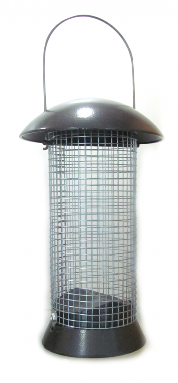 Pindasilo adventurer a