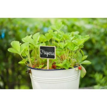 Plaatetiket met krijtbord en krijt 1516964207n