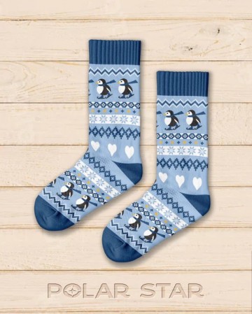 Polarstar isflak 4 5 1