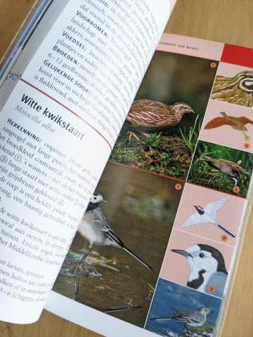 Pxl20230705120846138