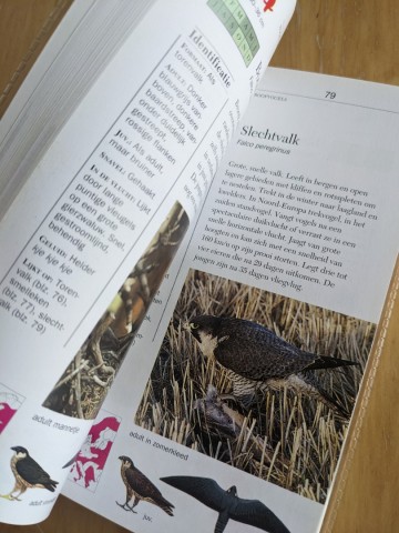 Pxl202307051248373532