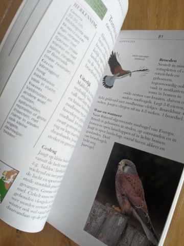 Pxl202307110841150712